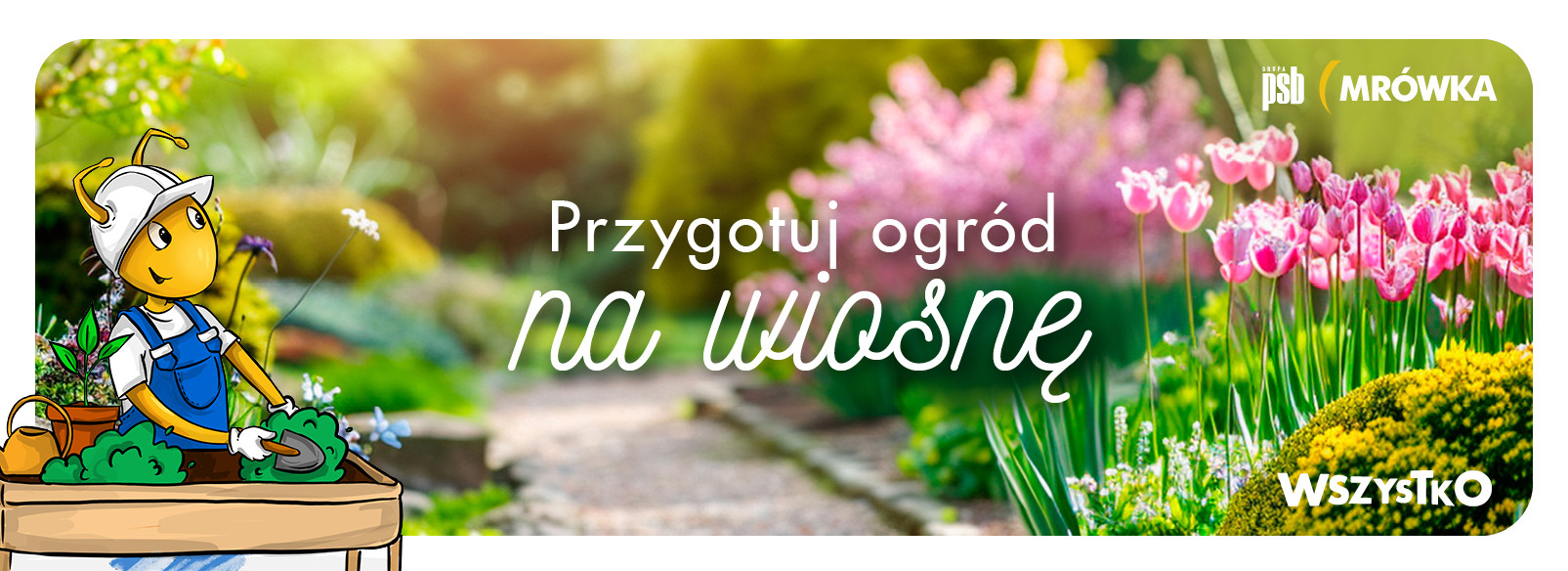 Grupa PSB mrowka PSB Mrówka Łomża