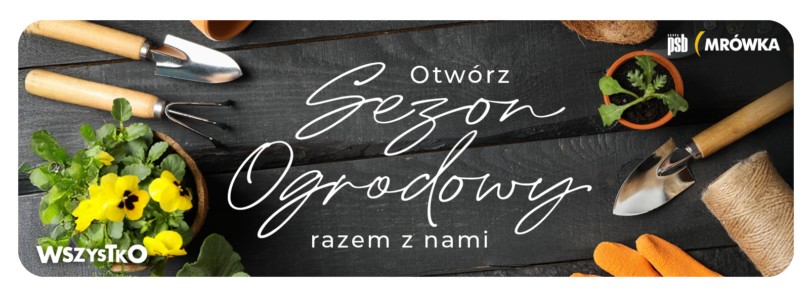 Grupa PSB mrowka PSB Mrówka Łomża