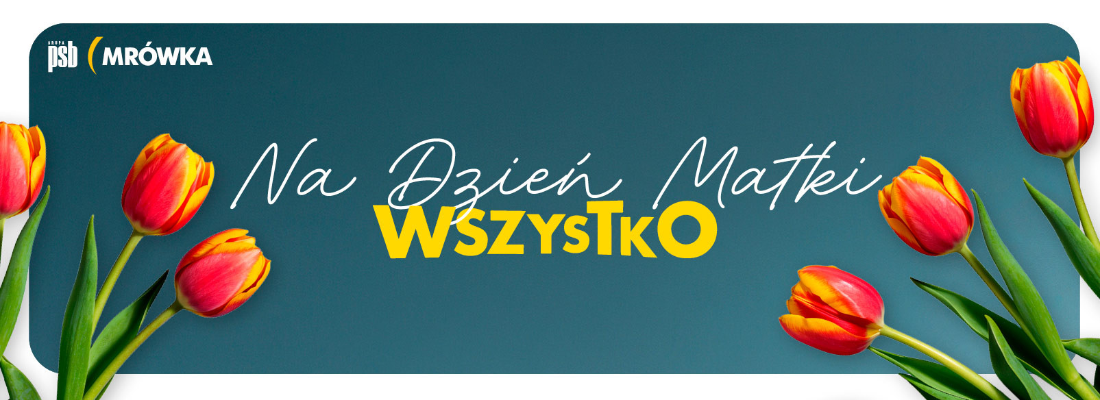 Grupa PSB mrowka PSB Mrówka Łomża